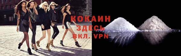 ГАЛЛЮЦИНОГЕННЫЕ ГРИБЫ Майский