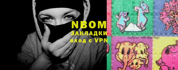 ГАЛЛЮЦИНОГЕННЫЕ ГРИБЫ Майский
