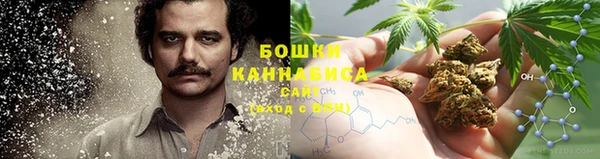 ГАЛЛЮЦИНОГЕННЫЕ ГРИБЫ Майский