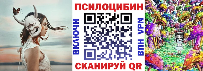 Галлюциногенные грибы Psilocybe  Тогучин 